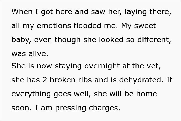 Image of text describing a woman's emotional story about her lost dog with injuries and pressing charges.