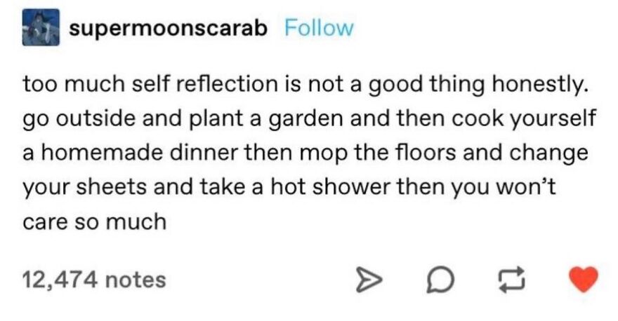 Mental health meme text about self-reflection and doing activities like gardening, cooking, and showering to feel better.