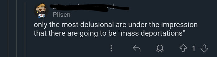 Screenshot of a comment addressing predictions of mass deportations, indicating they are delusional.