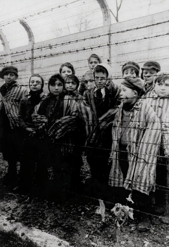 Young prisoners stand behind barbed wire in historical photo, wearing striped uniforms in a concentration camp setting.