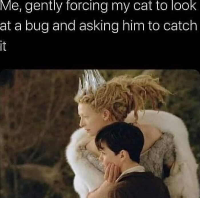 Woman humor meme with a fantasy character guiding a child, caption about a cat and bug.