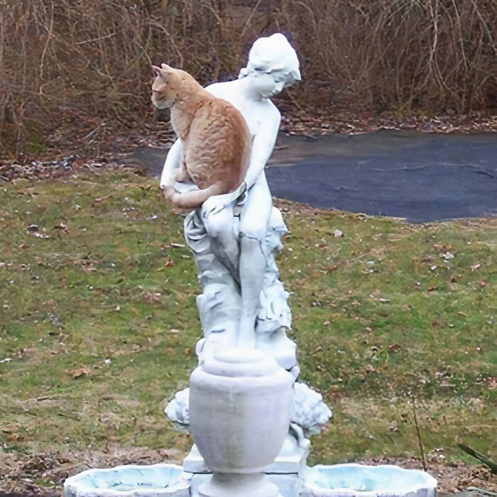 A cat sitting on a unique garden statue in a grassy area, adding charm to the landscape.