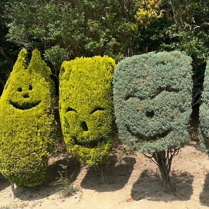 Unique garden design with whimsical topiary shrubs shaped like smiling faces.