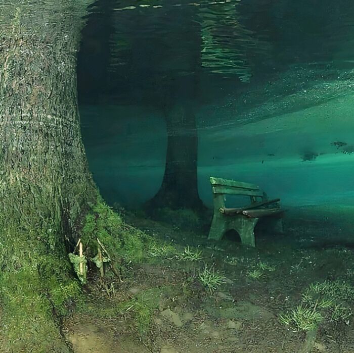 Unique garden with an underwater illusion, featuring a tree and a bench submerged.