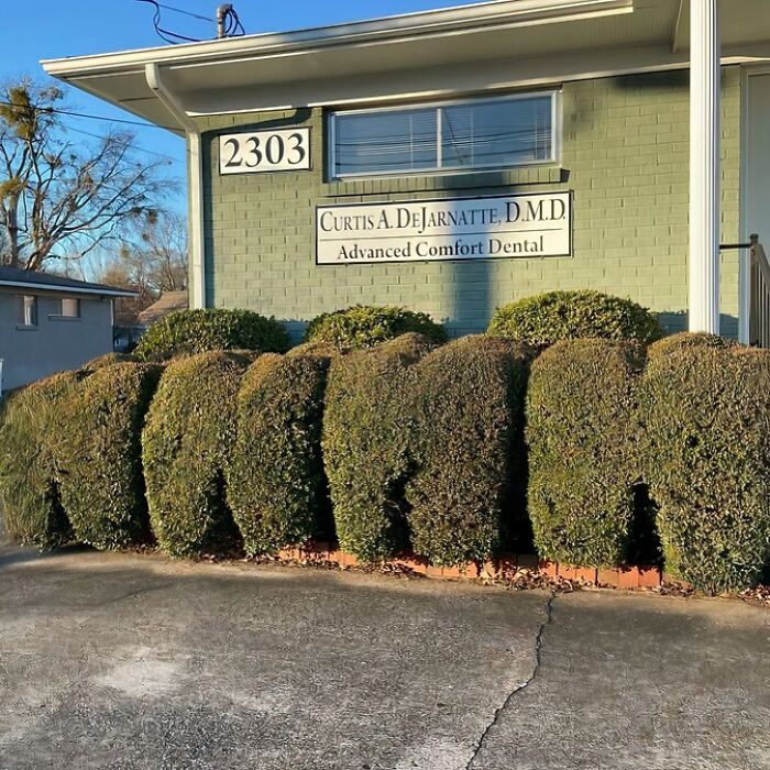 Unique garden design in front of a dental office, showcasing creatively trimmed hedges.