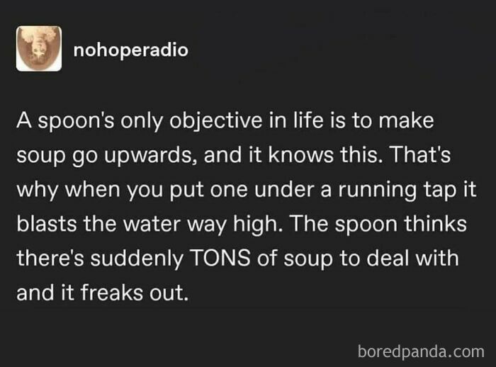 Funny food meme about a spoon reacting to water, thinking it's tons of soup.