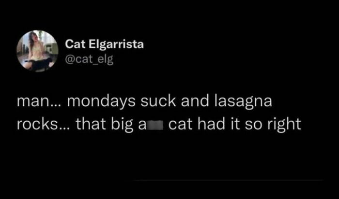 Funny food meme about lasagna and Mondays, referencing a popular cartoon cat.