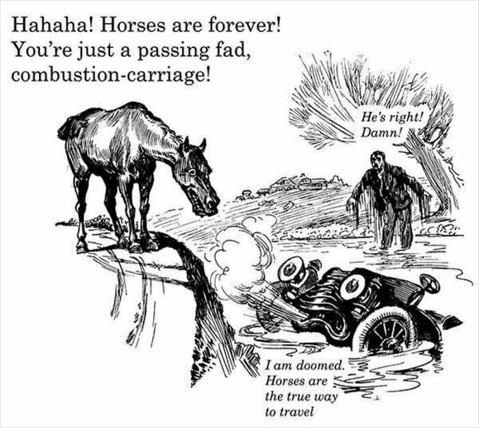 Cartoon of a horse mocking a driver whose car is in water, illustrating future predictions aged bad.