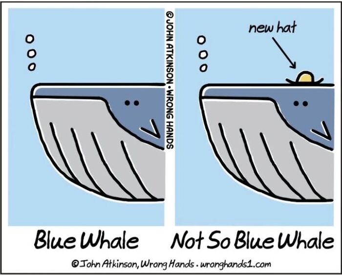 Comic by John Atkinson showing a blue whale and a &ldquo;not so blue&rdquo; whale with a new hat in humorous art.