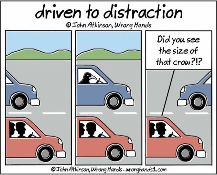 Comic by John Atkinson shows a distracted driver reacting to a crow, humorously referencing culture and art.