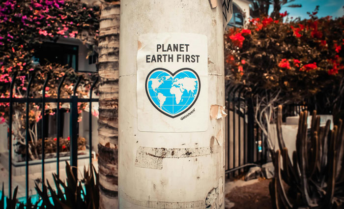 Sticker with "Planet Earth First" on a pole, reflecting vegan values.