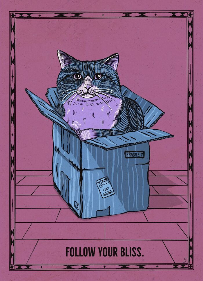 Cat sitting in a box illustration with text "Follow Your Bliss," showcasing the quirky nature of cats.