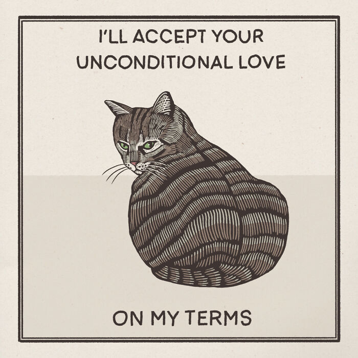 Illustration of a cat with text expressing its quirky and hilarious nature, showing its independence and style.