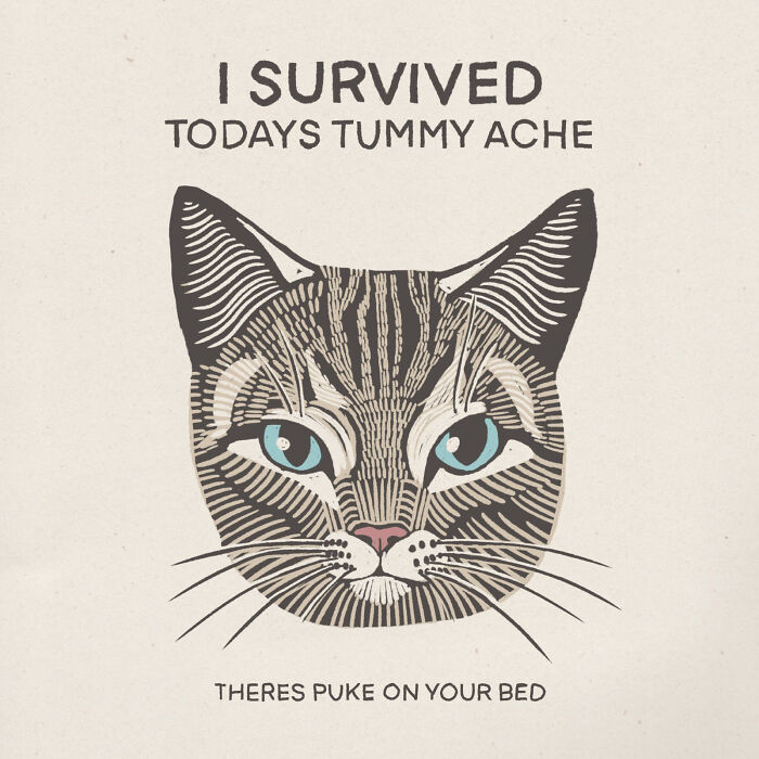 Illustrated cat with text humorously stating its survival from a tummy ache, highlighting the quirky nature of cats.