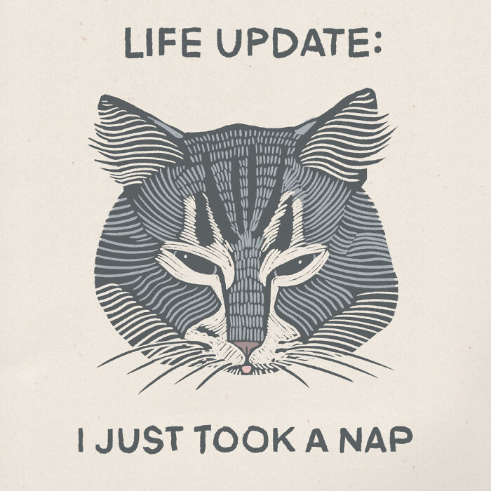 Illustration of a cat's face with the text "Life Update: I Just Took a Nap," showcasing the hilarious nature of cats.