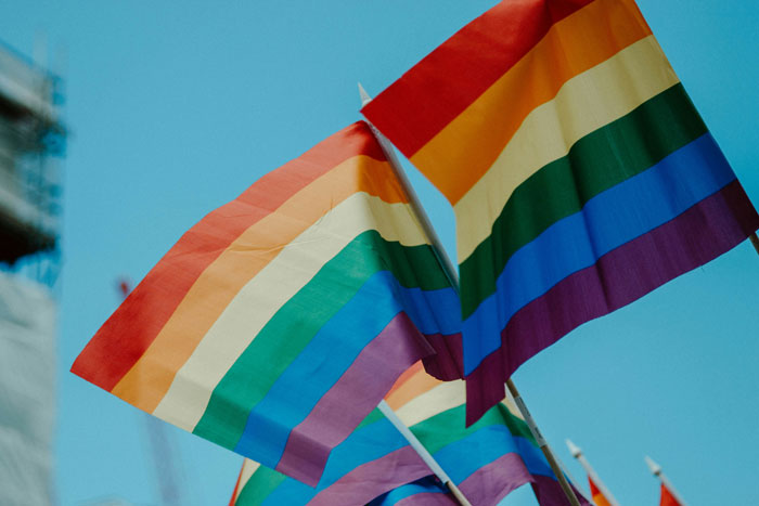 Pride flags waving against a blue sky, symbolizing LGBT support amidst controversy over magnets and Lego bricks.