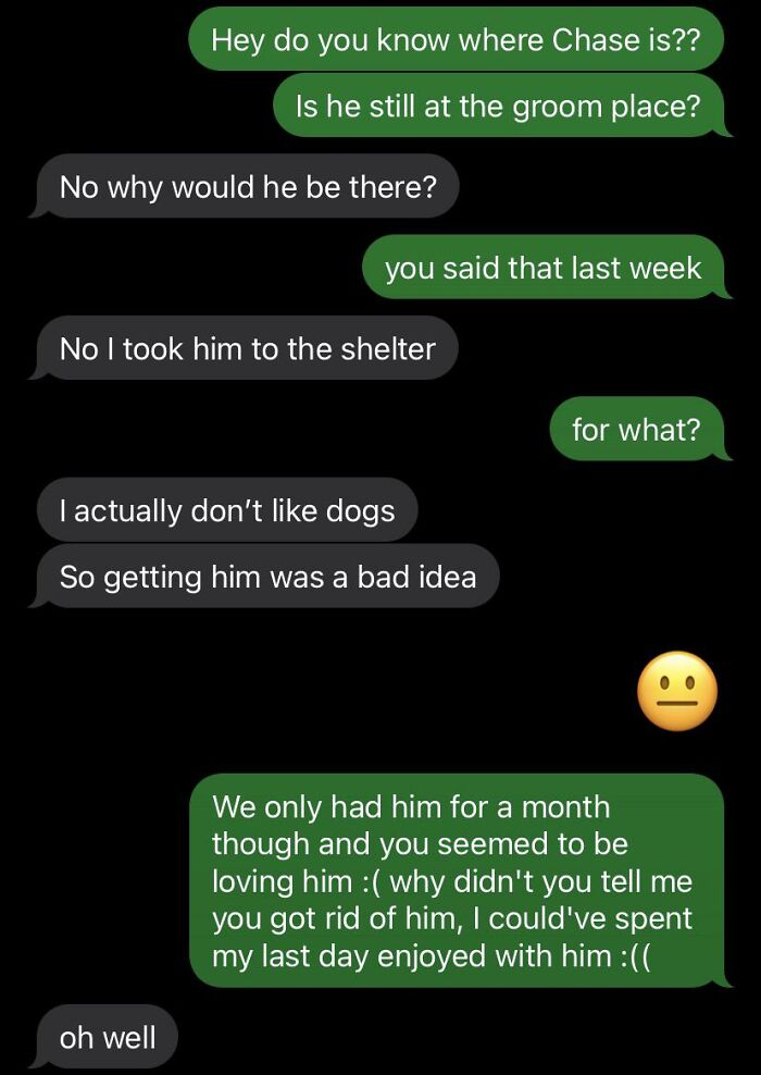 Text conversation revealing awkward and confusing messages about a dog being taken to the shelter.