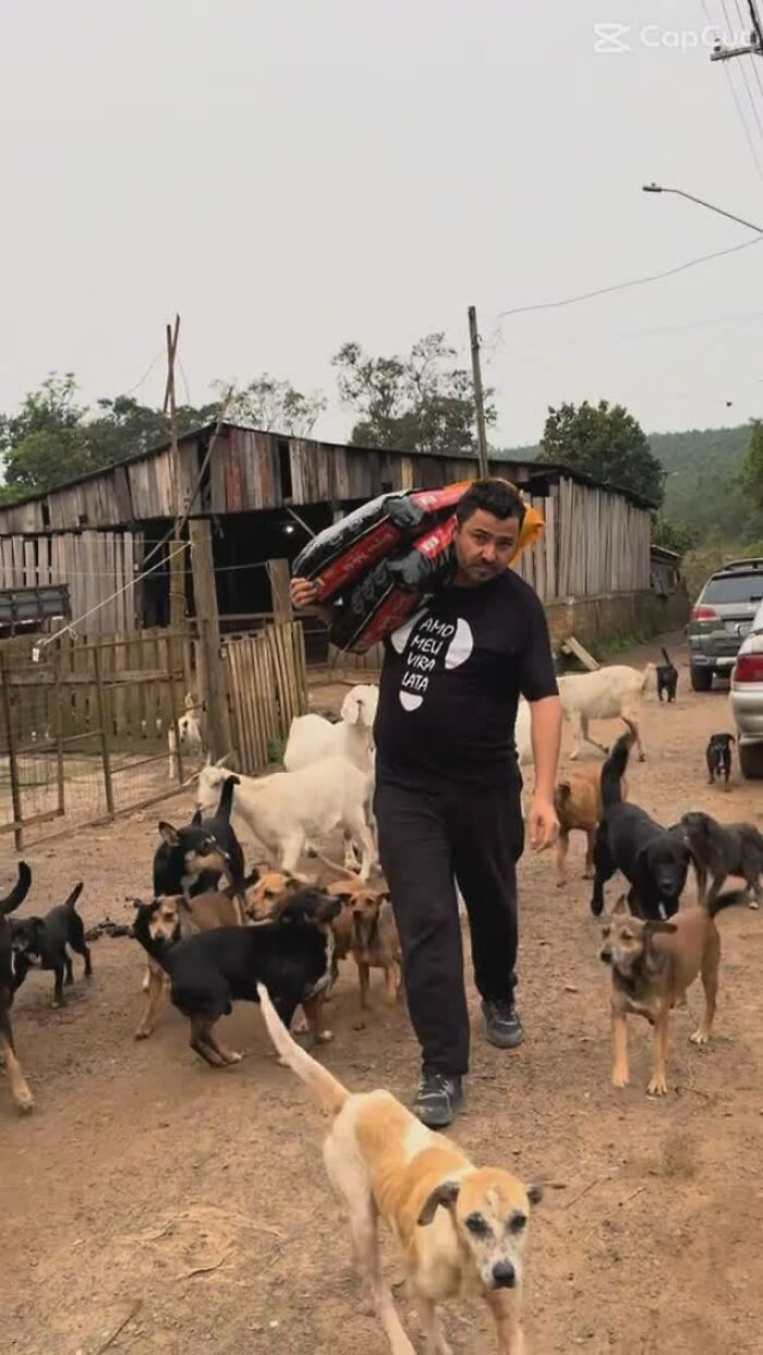 Man carrying dog food surrounded by stray dogs in a rural setting.