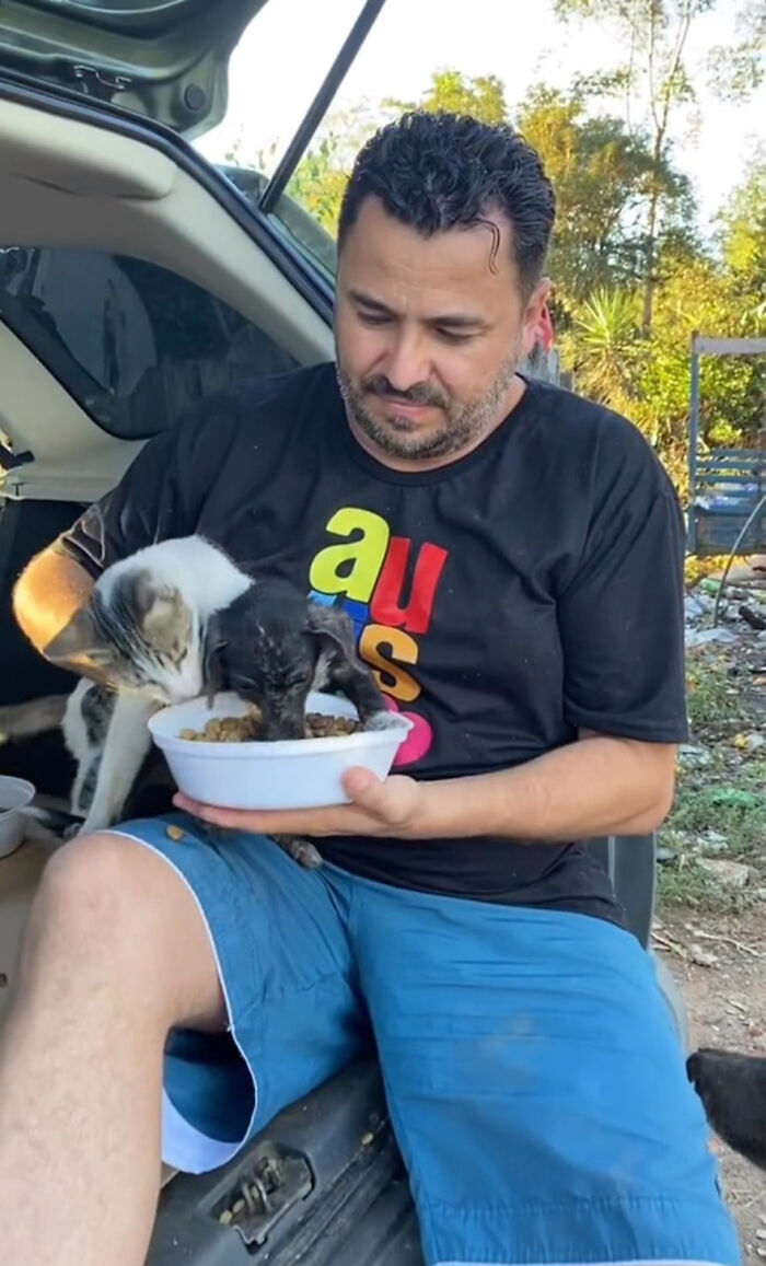 Man feeding stray dogs from a bowl while sitting near an open car trunk, demonstrating kindness to animals.