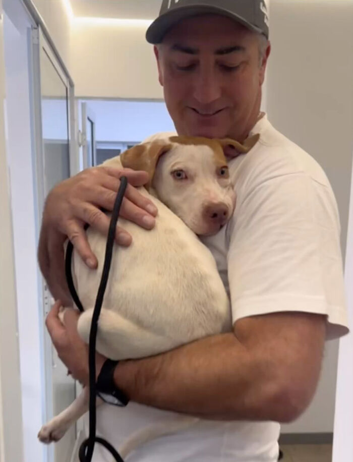 Man hugging a pit bull in a rescue center, conveying a sense of care and support for the dog rescue effort.