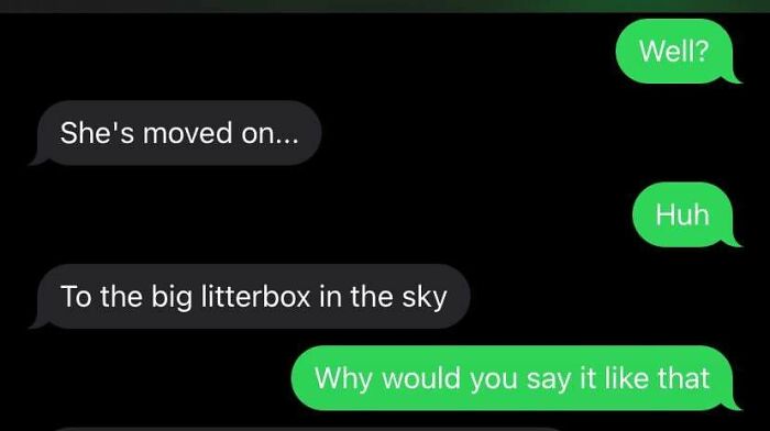 Awkward text exchange about a cat, mentioning "big litterbox in the sky" and a confused response.