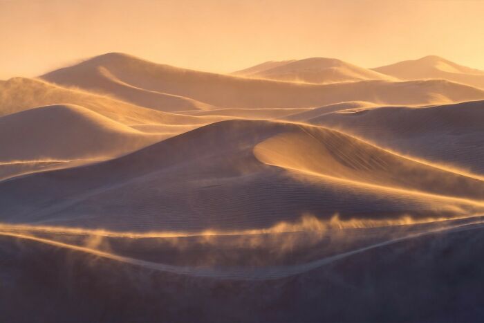 Gentle golden light over textured sand dunes, showcasing the intimate landscapes of nature.