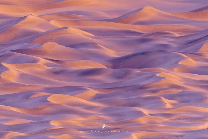 Intimate landscape showing smooth, purple and orange sand dunes under soft lighting, capturing textures of nature.