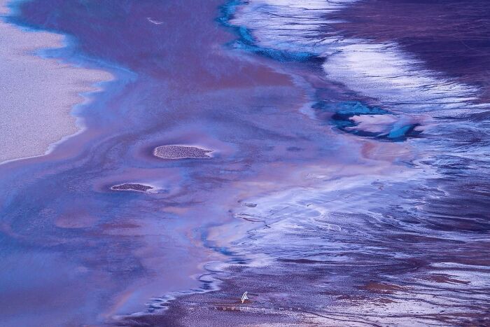 Intimate landscape photo showcasing the textures of nature with swirling blue and purple hues.