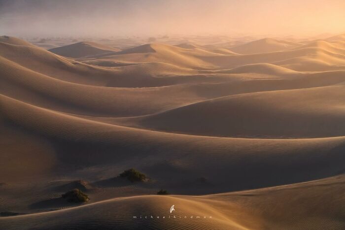 Dunes bathed in warm light, showcasing the textures of nature in an intimate landscape photograph.