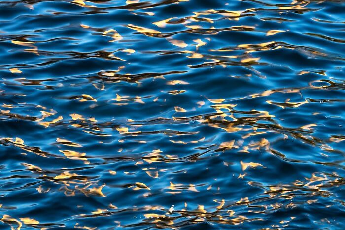 Rippling water reflecting sunlight, showcasing the textures of nature.