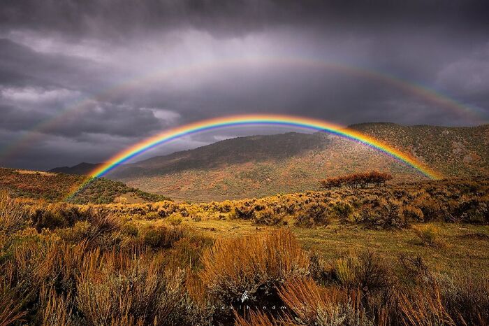 Rainbow arches over a lush landscape, showcasing nature's textures and beauty under a dramatic sky.