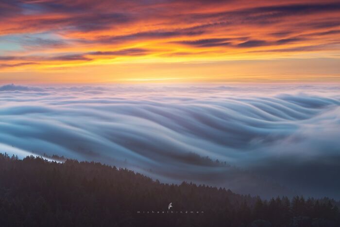 Nature's textures: rolling fog over a forest beneath a vibrant sunset sky.