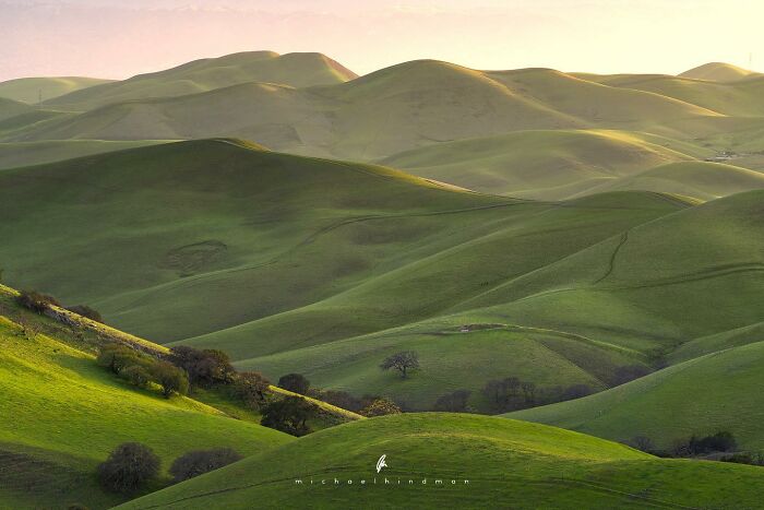 Rolling green hills at sunset, showcasing textures of nature in an intimate landscape setting.