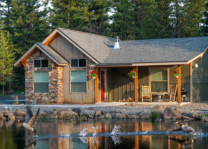 Family cabin by a pond, surrounded by trees, with geese in the foreground.