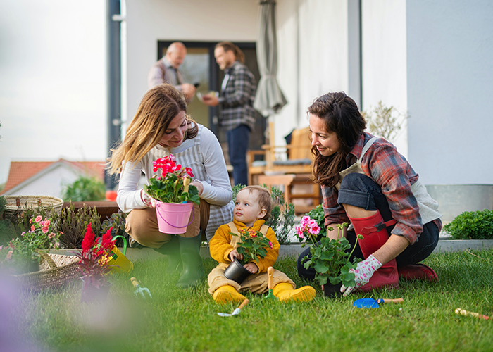 Family gardening together, planting flowers on a lawn in front of a house.