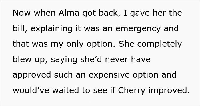 Text about a woman upset over an expensive vet bill after a dog is taken there while pet sitting.