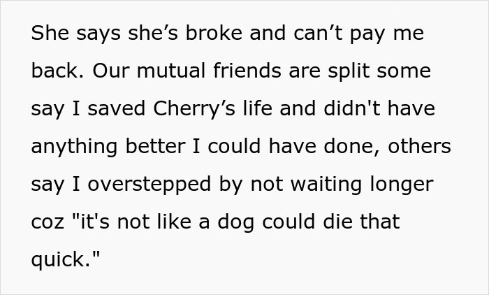 Text conversation about taking a dog to an expensive vet, discussing different opinions on the decision made.