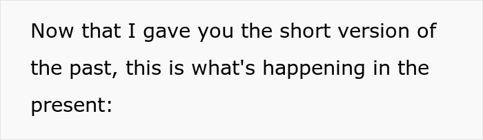 Text excerpt about a woman's dog getting lost and a boyfriend's excuse, focusing on present events.