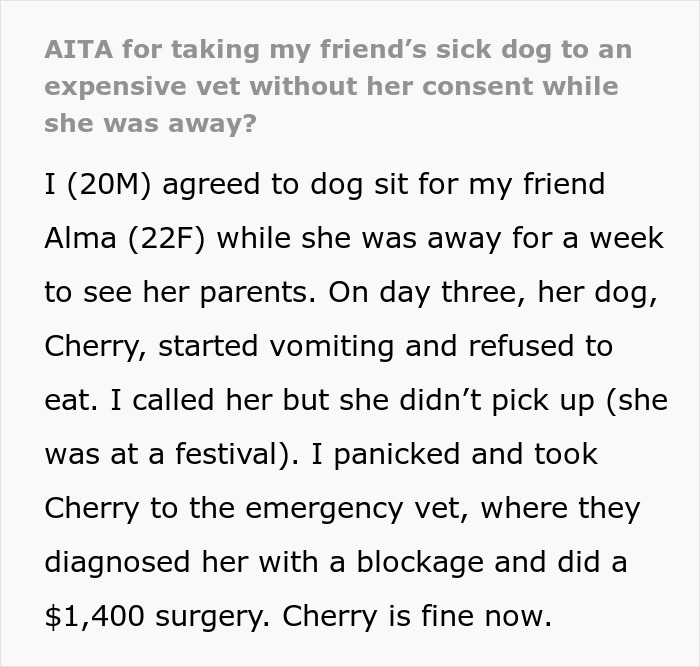 Text discussing a friend's dog being taken to an expensive vet while the owner was away.