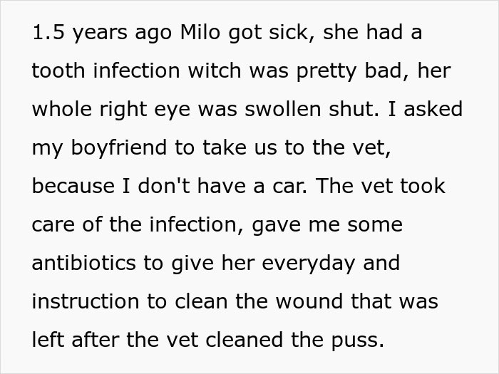 Text detailing a woman's nightmare trip after her dog Milo got sick with a tooth infection.