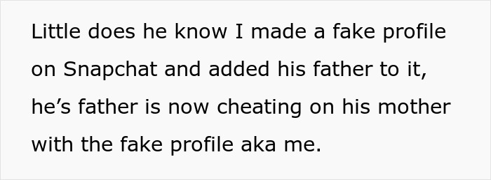 Text about a woman creating a Snapchat profile to expose cheating and impact her husband and his father's marriage.