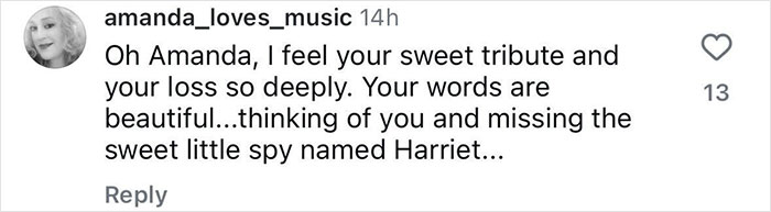 Instagram comment expressing sympathy and tribute for a loss, mentioning a spy named Harriet.