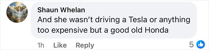 Comment discussing a celebrity's choice of driving a Honda instead of a Tesla at McDonald's.