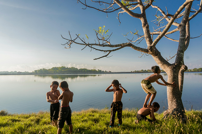 Children playing by a lakeside tree in a sunny landscape.