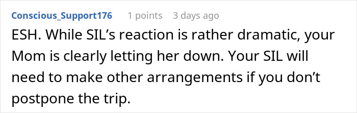 Reddit comment about a mom refusing to cancel her cruise for a possible early birth, discussing family dynamics.