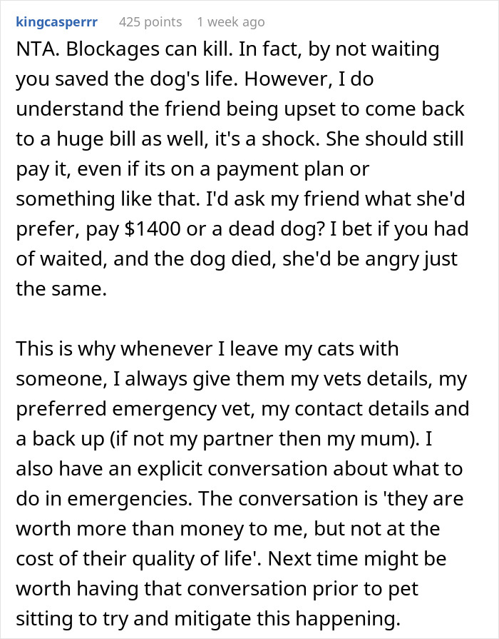 Text conversation about a friend's costly vet bill for a dog during pet sitting, discussing emergency plans and costs.