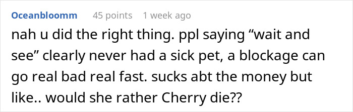 Comment about pet sitting and expensive vet visit, discussing urgency and financial impact.