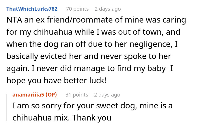 Comments discussing a lost dog experience and hope for better luck.