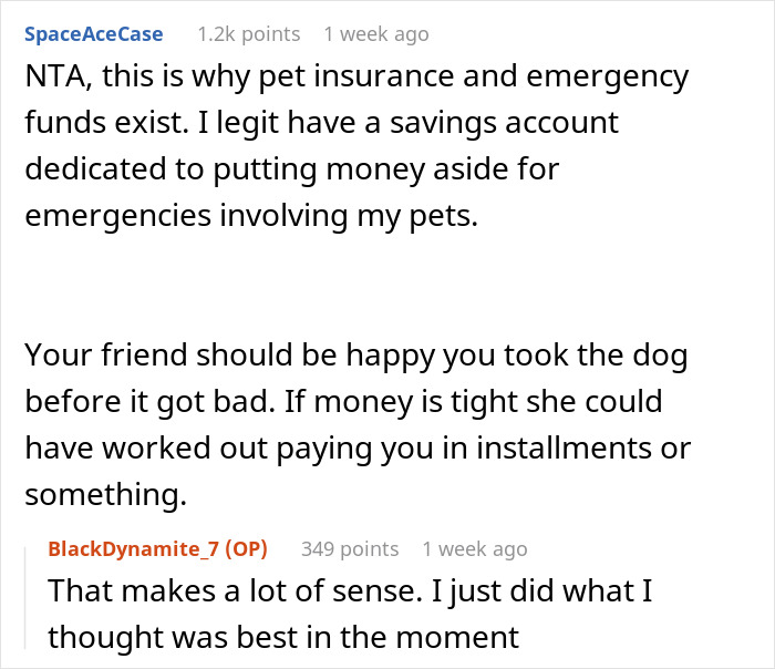 Comments discussing pet insurance and the decision to take a dog to an expensive vet while pet sitting.