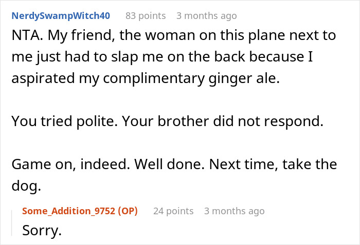 Reddit comment exchange discussing a humorous incident on a plane involving ginger ale.